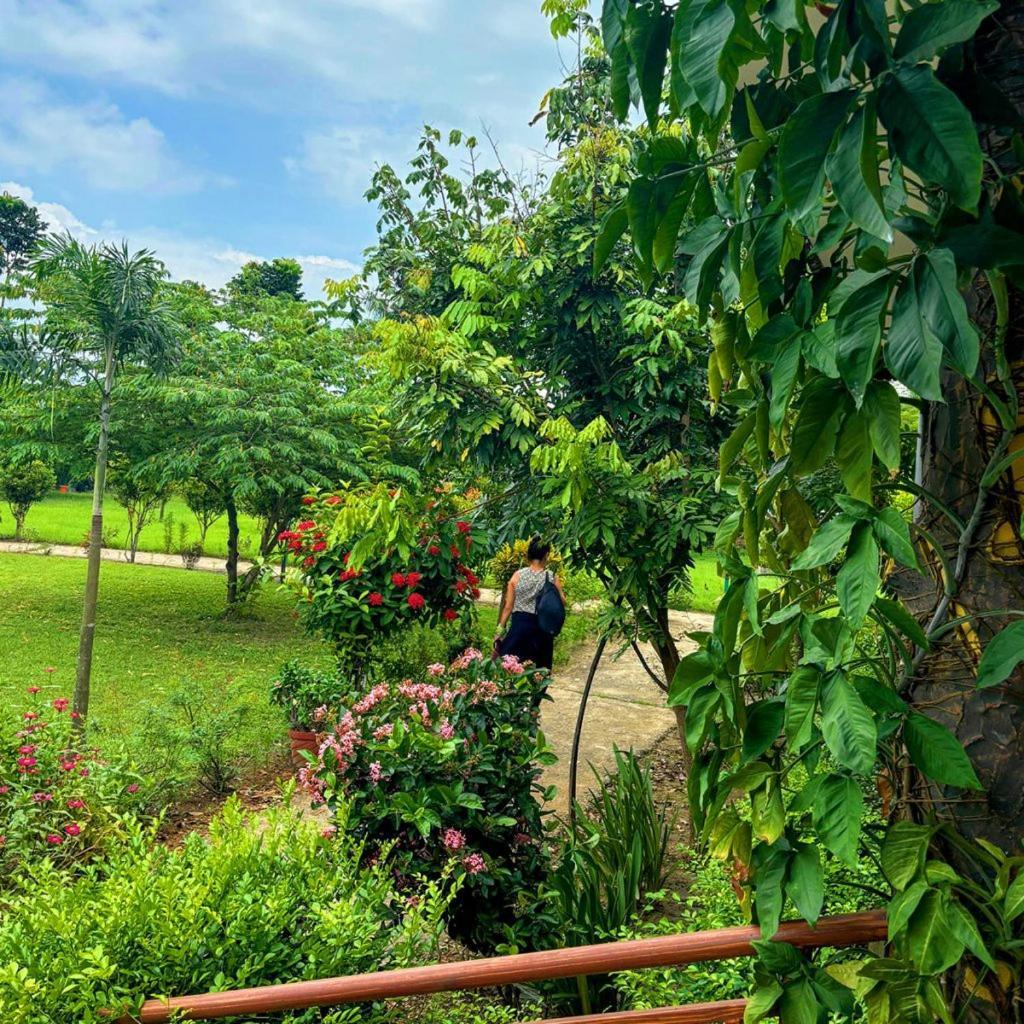 Hotel Greenland Safari Sauraha Esterno foto