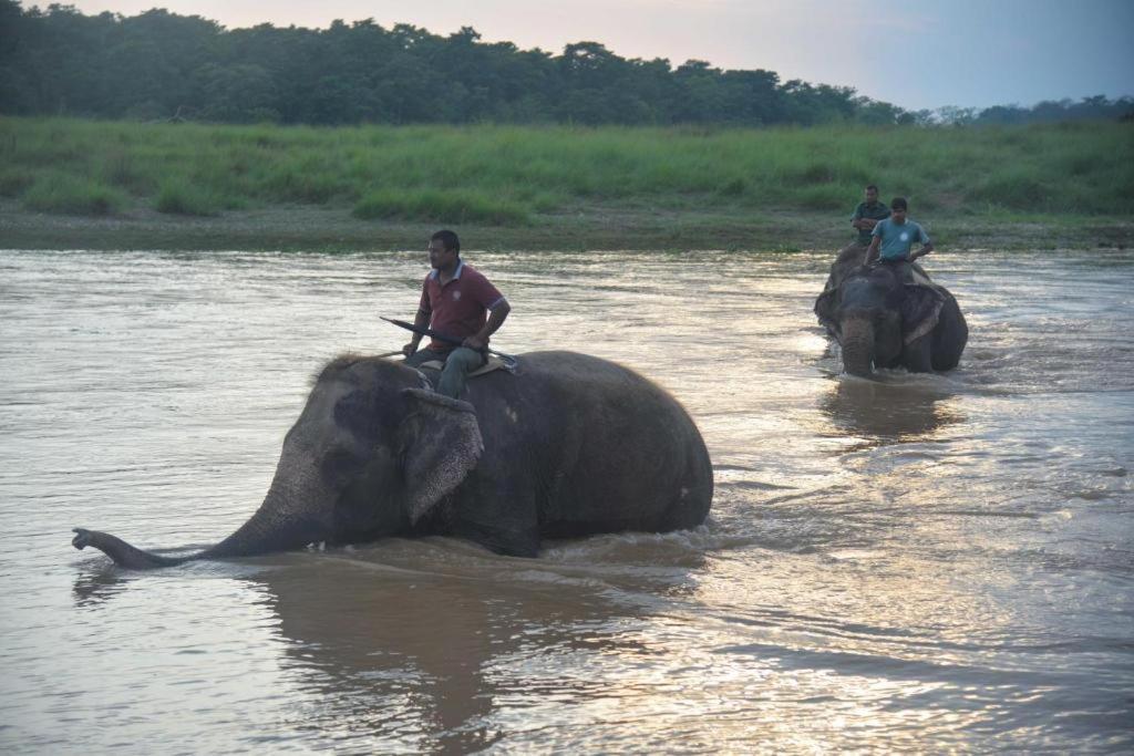 Hotel Greenland Safari Sauraha Esterno foto