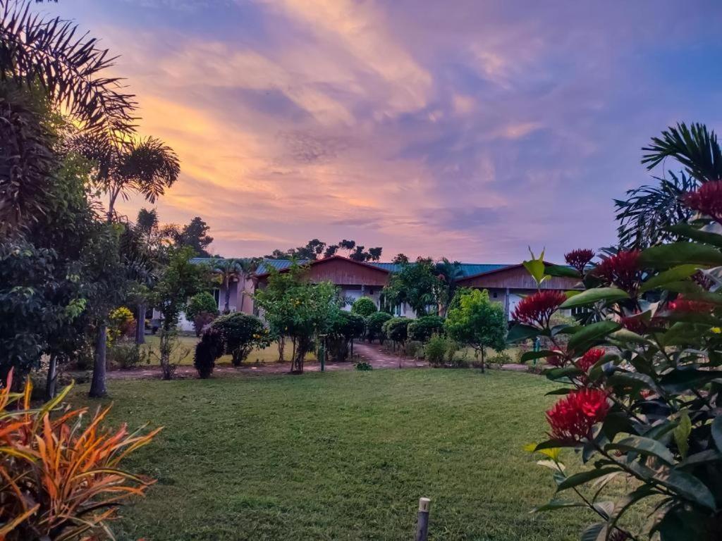 Hotel Greenland Safari Sauraha Esterno foto