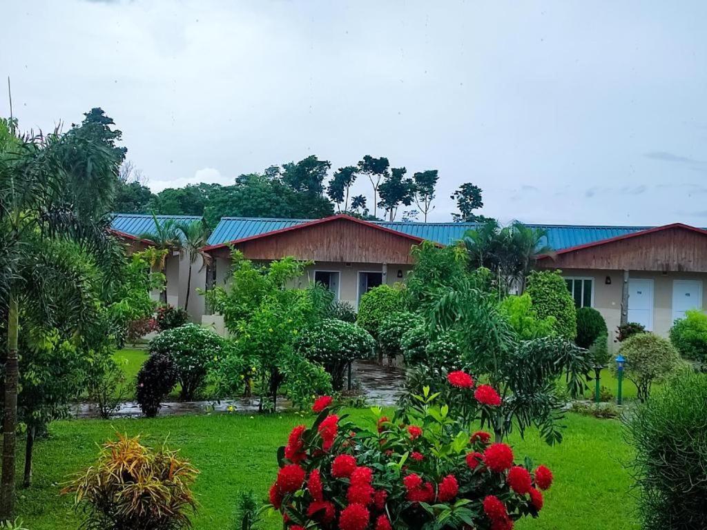 Hotel Greenland Safari Sauraha Esterno foto